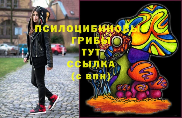 винт Магас