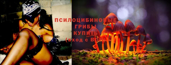 винт Магас