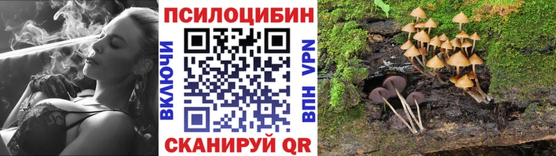 Псилоцибиновые грибы Cubensis  как найти закладки  Электроугли 
